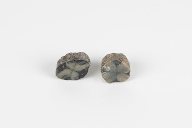 Two pieces of separate mineral specimen in shades of grey, brown, and yellow with crosses in the center