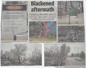 Newspaper Clipping, Diamond Valley Leader et al, Scorched Earth: attention turns to recovery plan after devastating Plenty Gorge fire, 29/01/2020