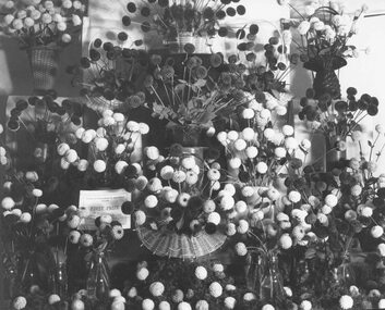 Photograph, Ringwood Horticultural Society- Flower Show - April, 1949
