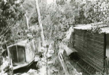 Photographs, 1979-80 MMBW pipe line project at Hubbard Reserve, North Ringwood � Line of sewer work with mole power pack near Hibberd's shed