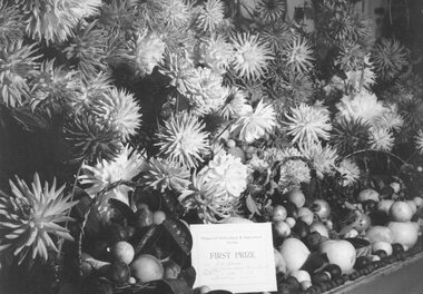 Photograph, Ringwood Horticultural and Agricultural Society- Ringwood Show, 1969