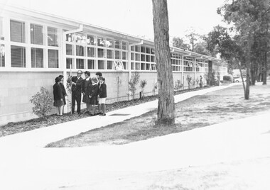 Photograph - Black and White, Ringwood Technical School, New Trees c.1970