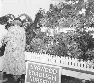 Photograph, Ringwood Horticultural & Agricultural- Autumn Flower Show 1959