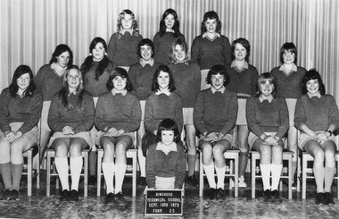 Photograph - Group, Ringwood Technical School 1973 Form 2C, c 1973