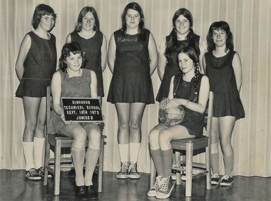 Photograph - Group, Ringwood Technical School 1973 Girls Jnr Netball, c 1973