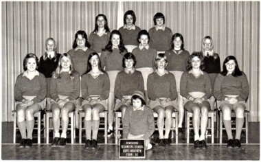 Photograph - Group, Ringwood Technical School 1974 Form 3C, c 1974