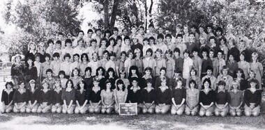 Photograph - Group, Ringwood Technical School 1985 Year 11-ALL, c 1985