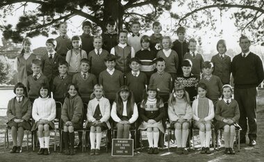 Photograph, Ringwood State School -  Grade 4A, 1969