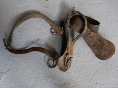 Horse Equipment - straps