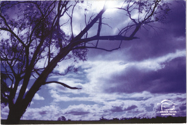 Postcard - Photograph, Nillumbik Shire Council, Nillumbik Skies, 2000