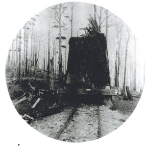 Photograph, Crowes: Terminus of the railway line, 1911