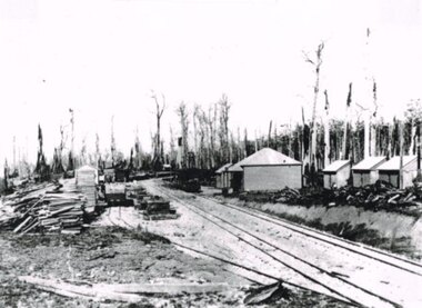 Photograph, Beech Forest Railway Station, 1903