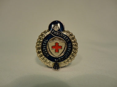 Hospital Employee Federation Badge, Brim, Nurse Badges, 20th Century