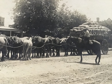 Photograph - Horse team and dray loaded with wheat Belmore Street Yarrawonga