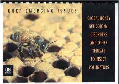 Publication, United Nations Environment Programme, UNEP emerging issues: global honey bee colony disorders and other threats to insect pollinators (United Nations Environment Programme), Nairobi, 2010