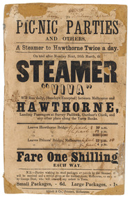 Flyer for the steamer Viva, Abbott & Co., Printers, c.1860