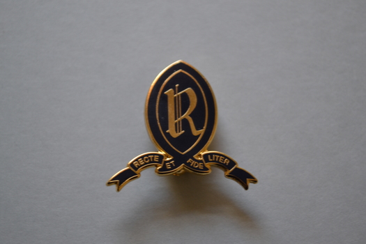 school crest badge in blue and gold enamel