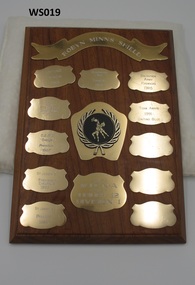Award - Wooden Shield