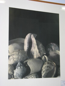 Black and white photograph, Janina Green, Shells, 1988
