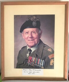 Colour photograph of soldier in frame