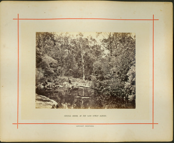 Crystal Brook, in the Cape Otway Ranges / [by] Nicholas Caire, circa 1876