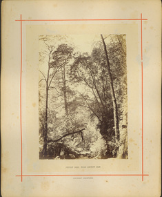 Sylvan Dell, near Loutitt Bay / [by] Nicholas Caire, circa 1876