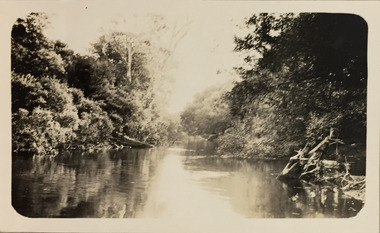 The Yarra River at Kew