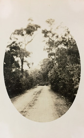Bush road