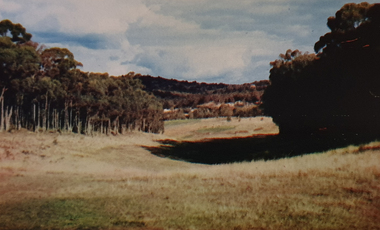 Golf fairway at Hepburn