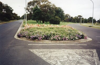 Photograph, Colanda grounds main driveway