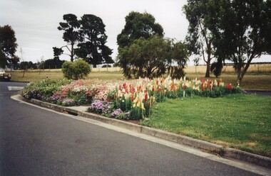 Photograph, Colanda grounds -  main driveway gardens