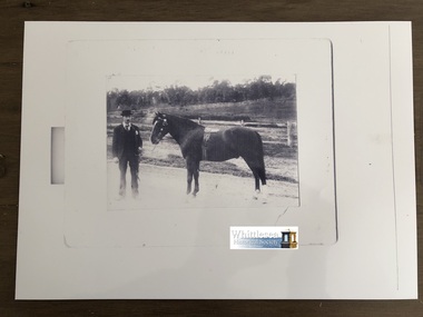 Photocopy of photograph, Johnston horse at Show, unknown