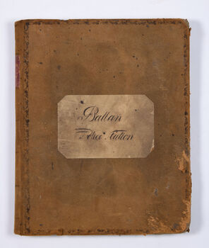 Alarge book covered with brown suede type leather.