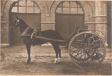Photograph, G.Maas, 'Tommy', C.1916