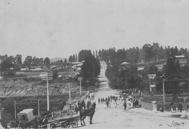 Photograph - Postcard, C early 1900's