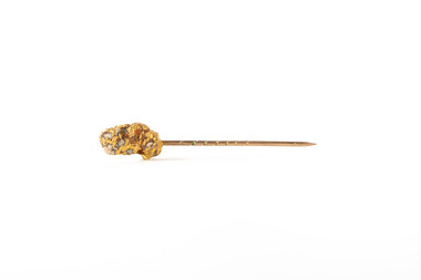 Domestic object - Tie Pin
