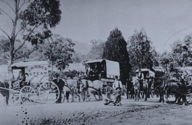 Photograph, c1890