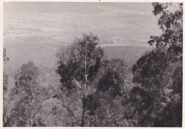 Photograph, 1944