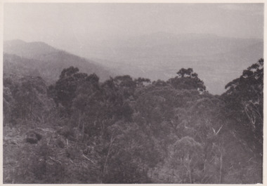 Photograph, 1944