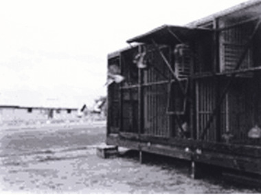 Photograph, 03/05/1944