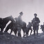 Black and white image of seven World War One soldiers and two horses standing above trenches talking.