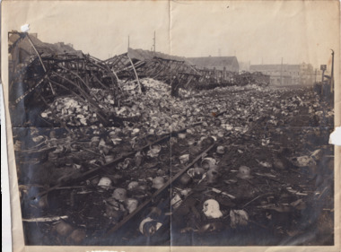 Photograph