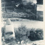 Old car with raised front bonnet beside small bushes and a debris-lined, overgrown shallow crevice. Lane and small cottage with smoking chimney beside a rectangular fenced area. .
