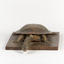 Australian Snake-Necked Turtle standing on a wooden platform.