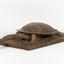 Australian Snake-Necked Turtle standing on a wooden platform.