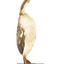 Great crested grebe standing towards the left