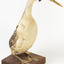 A great Crested Grebe facing front right