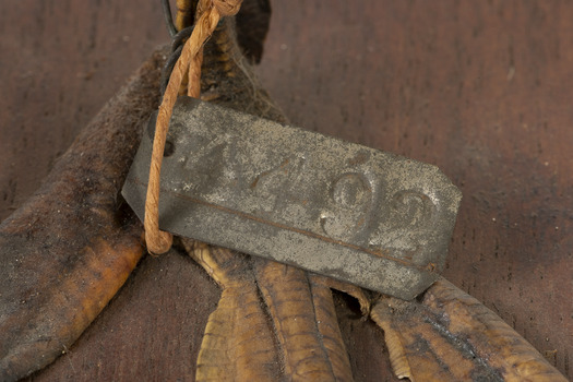 Metal tag tied to leg: 4492