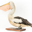Rear left of a Pelican standing on a wooden platform