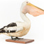 Front right of a Pelican standing on a wooden platform
